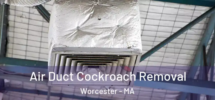  Air Duct Cockroach Removal Worcester - MA