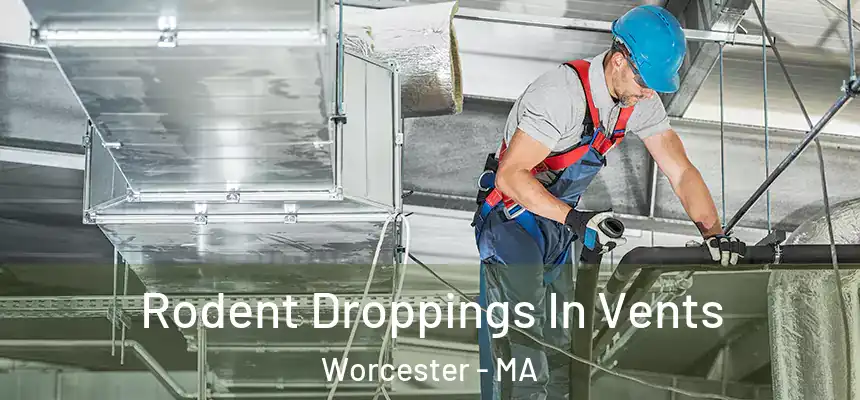  Rodent Droppings In Vents Worcester - MA