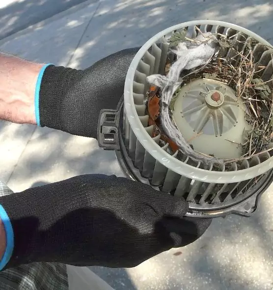 About Air Duct Rat Removal in Worcester, MA