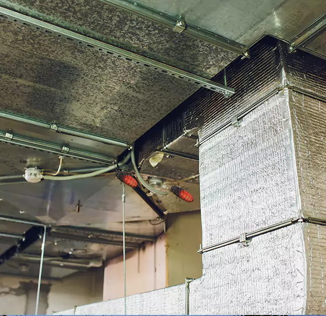 Why Homeowners & Businesses Trust Us in Worcester, MA?