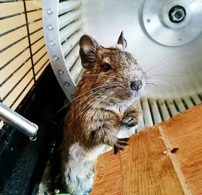 Why Homeowners & Businesses Trust Us Worcester, MA?